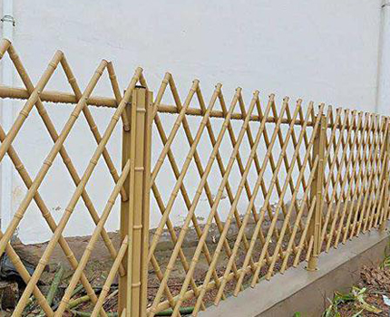 1615347676266328.jpg 44.jpg