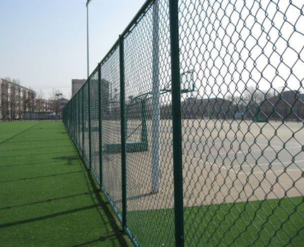 1615596609686930.jpg 100.jpg